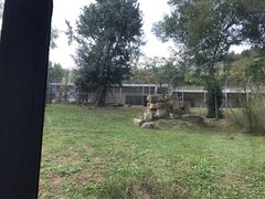 -上方山森林动物世界