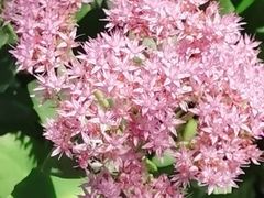 -长春公园(普阳街道)