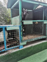 -可可天空农场(中大店)