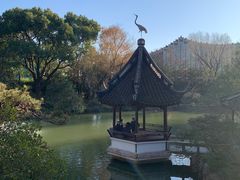 -上海醉白池公园