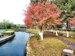 -太阳岛度假酒店