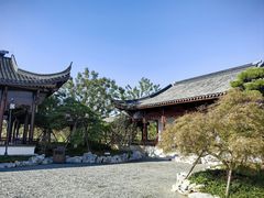 -上海滨江森林公园
