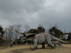 -上海浦江郊野公园·1号停车场