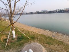 -羊山湖公园