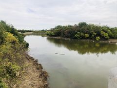 -塘沽森林公园