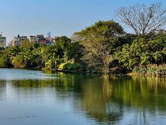 -小洲村