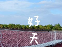 -嘉北郊野公园