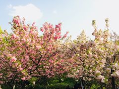 -荆川公园