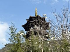 -洋湖国家湿地公园