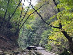 -五女峰国家森林公园