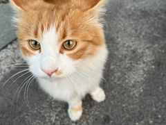 -水沐汇洗浴广场(香檀一号店)