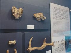 -北京周口店北京人遗址博物馆