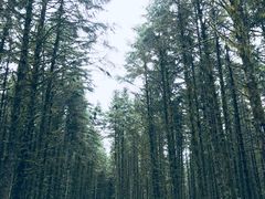 -石棉县孟获城