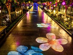 -南宫五洲植物乐园