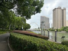 -陈家山荷花公园