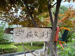 -金茂览秀城