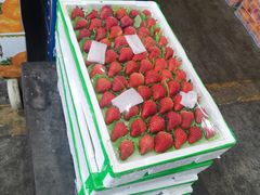 -西郊国际农产品交易中心