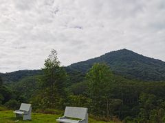 -黄埔油麻山森林公园
