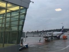 -谢列梅捷沃国际机场