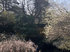 -北寺塔