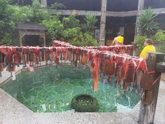 -韶关经律论国际酒店温泉