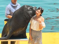 -秦皇岛乐岛海洋王国