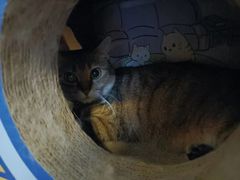 -H立方实景剧情密室(天河旗舰店)