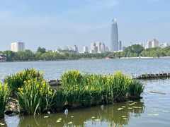 -济南大明湖景区
