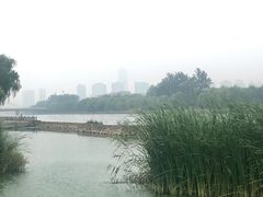 -星巴克臻选(郑州国贸360广场店)