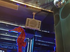 -佰迪乐KTV(秀灵店)