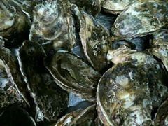 -邹记·美食(斗门店)