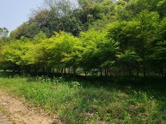 -黄公望隐居地