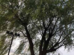 -武昌江滩