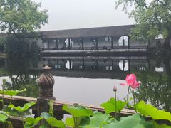 -无锡蠡湖国家湿地公园-蠡园