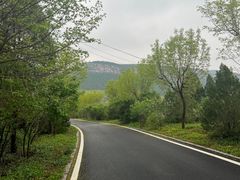 -佛慧山