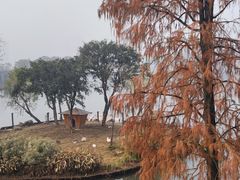 -武汉动物园