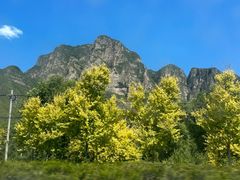 -北京龙庆四季香农家饭庄·灶台鱼·碳烤虹鳟鱼(龙庆峡店)