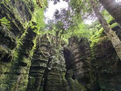 -梭布垭石林景区