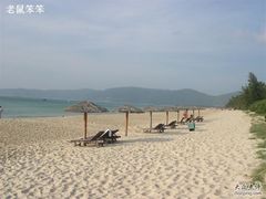 -三亚亚龙湾金棕榈度假酒店