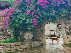 -高荡千年布依古寨旅游景区