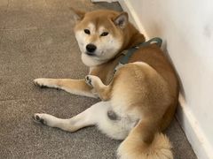 -三目仓咖啡(贤南路店)