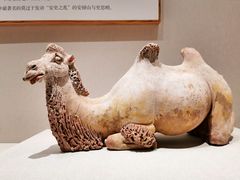 -深圳博物馆(古代艺术馆)