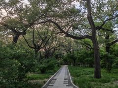 -北陵公园