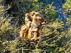 -重庆云阳龙缸景区