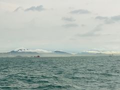 -招商蛇口邮轮母港(观光客运)