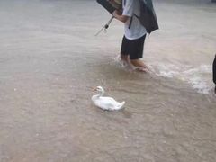-春餐厅