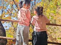 -天女山森林公园