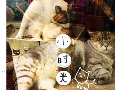 -小时光咖啡馆(开森度假森林店)