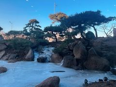 -罗红摄影艺术馆