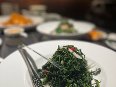 -三强鸽子(中原路店)